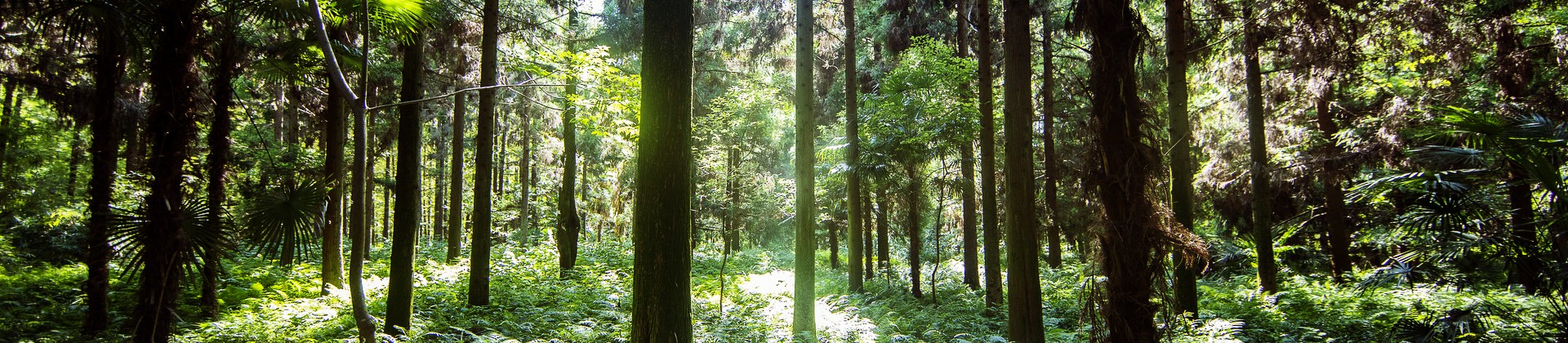 8866股份有限公司 装配式木结构建筑解决方案