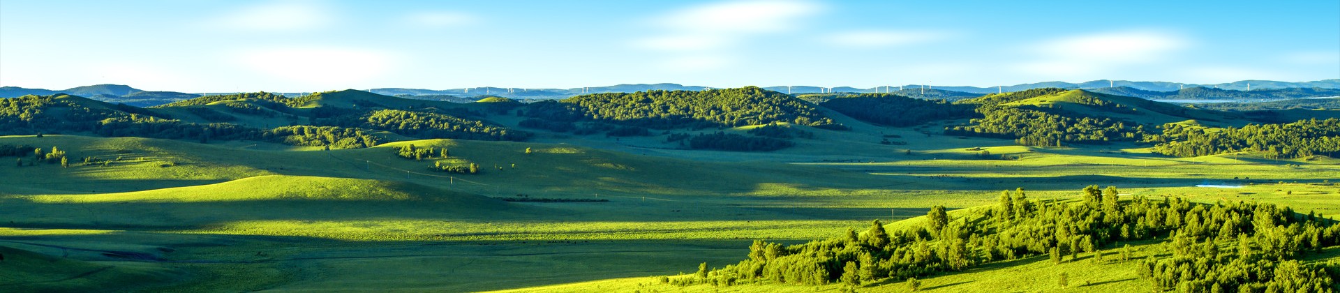 CLT模块化建筑材料 菠萝格 防腐木 芬兰木