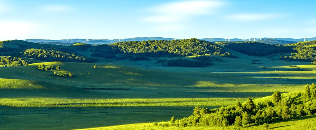 8866股份有限公司移动端 装配式木结构建筑