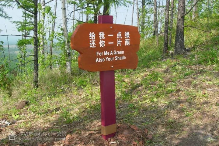 海南菠萝格全面解析及菠萝格批发(图1)